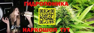 дмт Бузулук